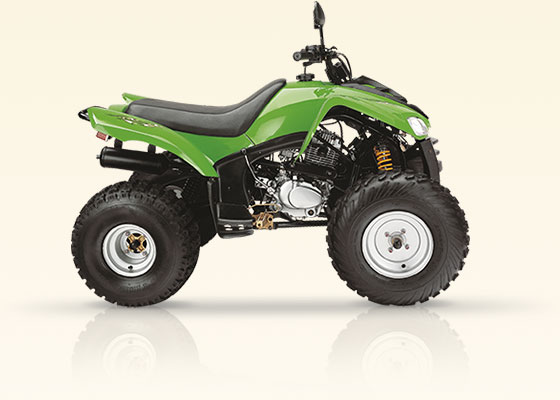 ATV 200 D - четырехтактный квадроцикл, воздушное охлаждение, механическая КПП, 2WD
