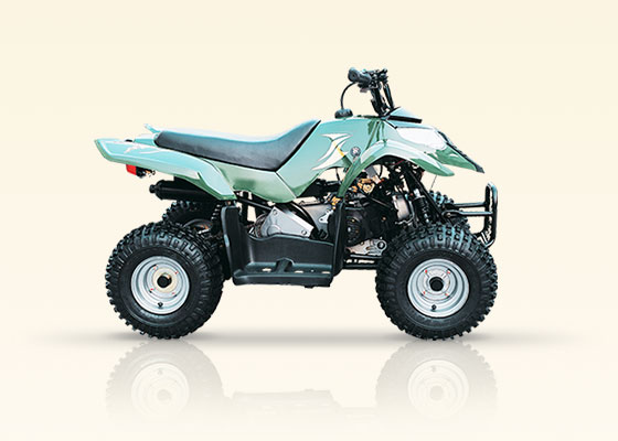 ATV 80 - четырехтактный квадроцикл, воздушное охлаждение, вариатор, 2WD