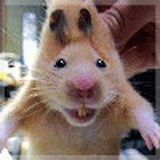Yurka's Avatar
