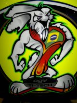 somic's Avatar