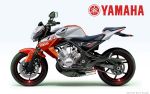 Yamaha RD 350 и TDR 350 2009