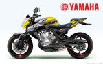 Yamaha RD 350 и TDR 350 2009