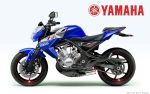 Yamaha RD 350 и TDR 350 2009