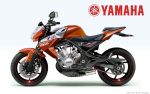 Yamaha RD 350 и TDR 350 2009