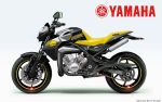 Yamaha RD 350 и TDR 350 2009