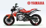 Yamaha RD 350 и TDR 350 2009