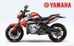 Yamaha RD 350 и TDR 350 2009