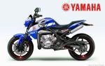 Yamaha RD 350 и TDR 350 2009