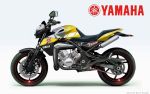 Yamaha RD 350 и TDR 350 2009