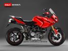 Ducati Multistrada by Dario Caroselli
