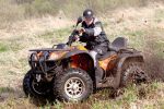 Квадроцикл Baltmotors Panda ATV 2010