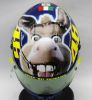Valentino Rossi - the donkey helmet