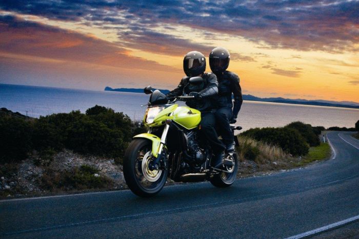 Honda Hornet 2009 cb600f