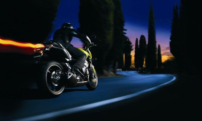 Honda Hornet 2009 cb600f