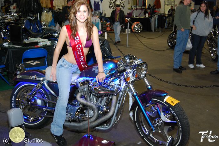 Кастомы с New Jersey Motorcycle Spectacular 2008